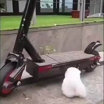 Get up there
