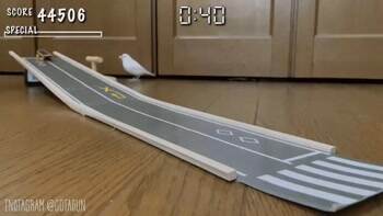 skateboarding bird