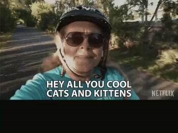 cool cats and kittens