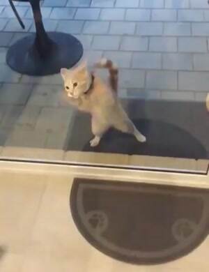 Let me innnnnnnn