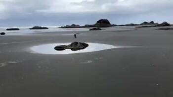 Seep puddle