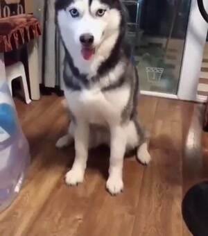 So excited to give high fives