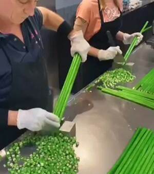 Chopping skills