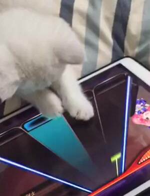 Playing a game