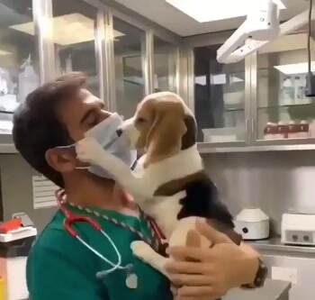 Give me all the kisses