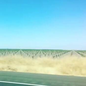 Passing rows of crops