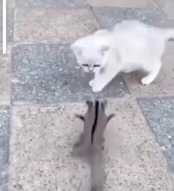 Got you