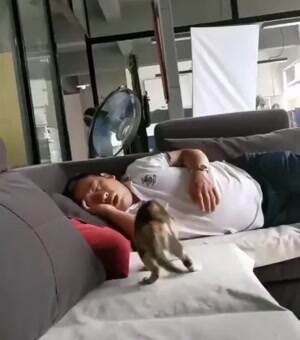 Wake up dude I want to play