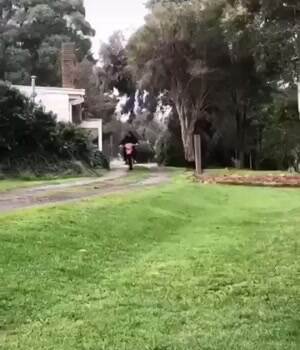 A Funny Runner