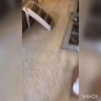 Caught red handed