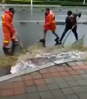 Sweep it away