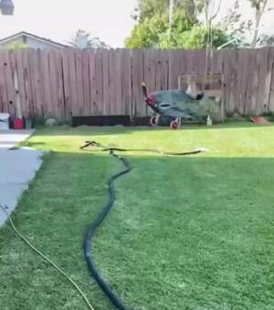 Round and round I go