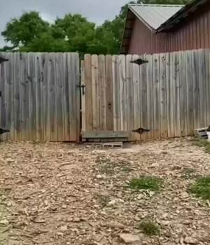 What love looks like