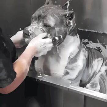 Getting the best bath
