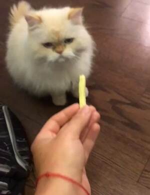 Do not want