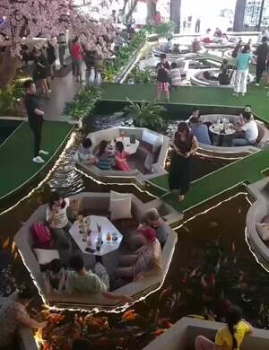 Cool place for dinner