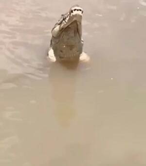 How high can he go