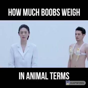 How much boobs weigh