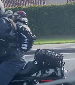 Out for a ride