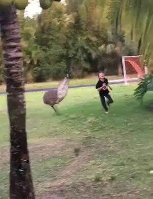 You better run