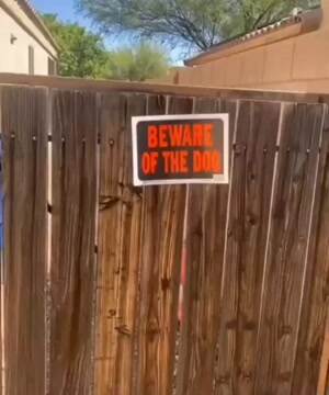 Beware of this monster of a dog
