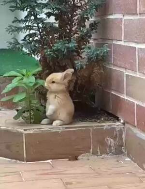 nommm nom nom