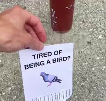 Are you tired of it