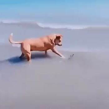Play with me