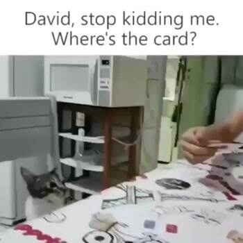 Where did it go
