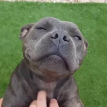 Rub me