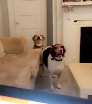 slap slap