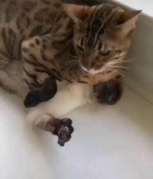 I sleep where I want