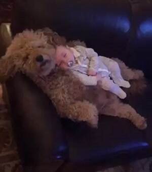 Cutest pillow ever