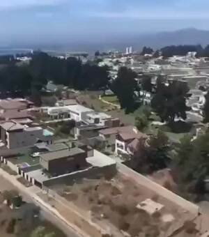 The neighborhood has gone crazy