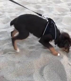 Eating sand