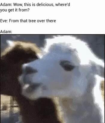 You did what now