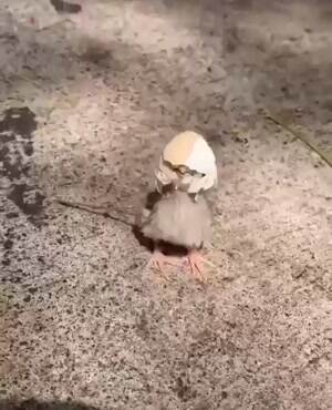 Let me help you out buddy