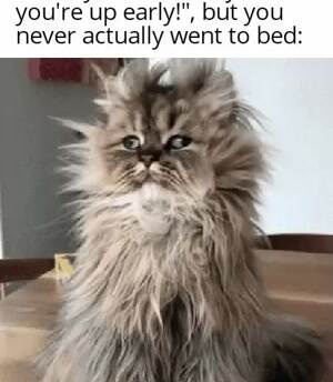You are up early huh
