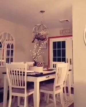 My place to hang out