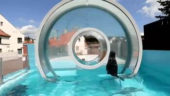 Round and Round