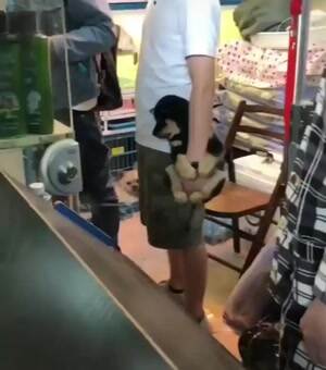 Got this pupper here