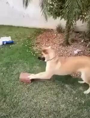 Push this over here