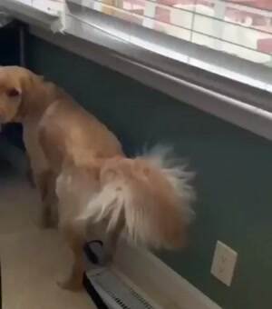 Do not mind me