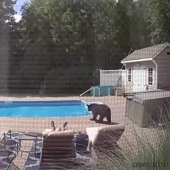 Checking the place out