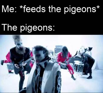 Feeding the pigeons