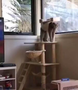 Human I require assistance