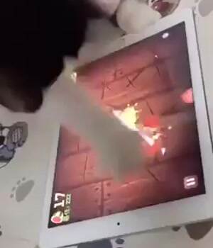 I am an expert at this game