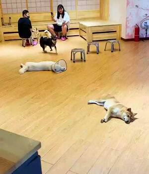 Cmon guys its still play time