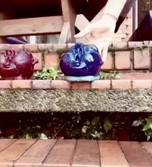 Bounce all the way down