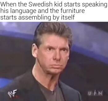 The swedish kid